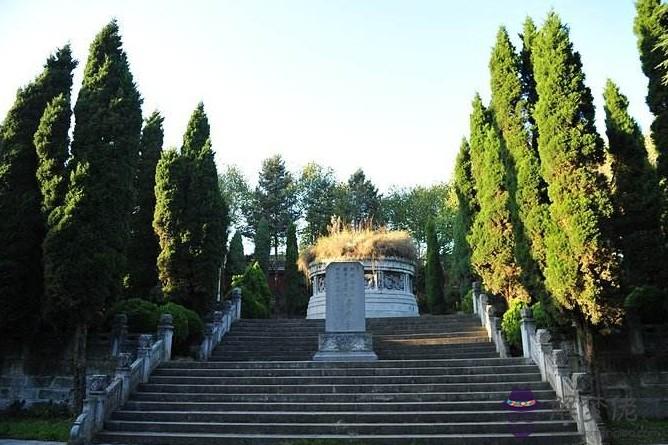 墳墓前種什麼樹好:祖墳前適宜栽種什麼樹??