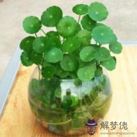 寓意好的裝飾公司名字:請大家為我們公司取一個寓意好的名稱,謝謝!是裝飾布藝行業!