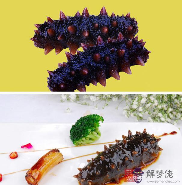 海參有什麼功效與作用:海參有哪些功效?