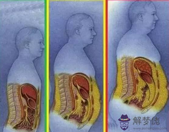 怎麼減肚子上的脂肪:為什麼肚子上的脂肪最難減？
