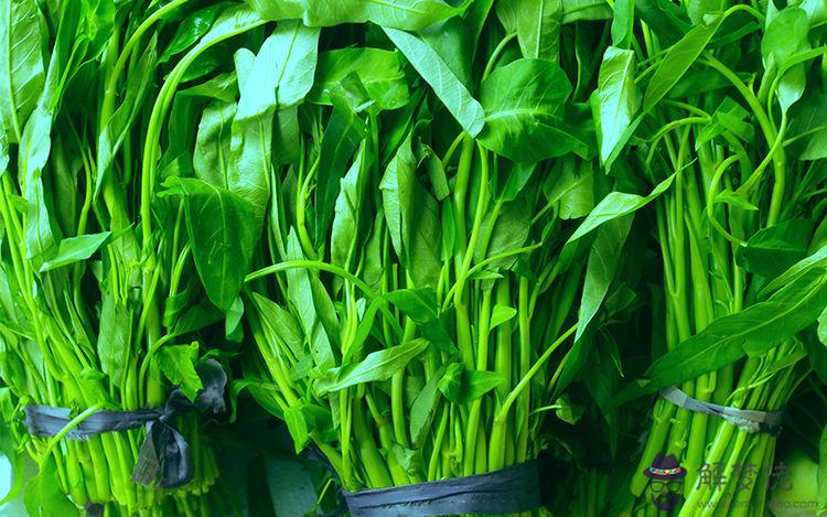 空心菜的功效與禁忌:空心菜葉子能吃嗎 吃空心菜葉子的好處