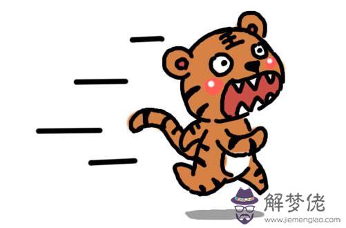 屬虎的今年多大了:屬虎的多少歲