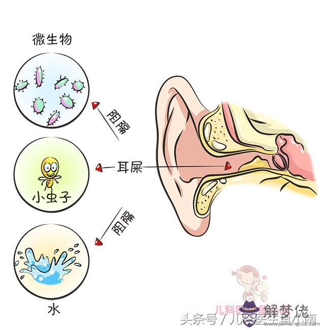 耳朵進水會自己干嗎:游泳時耳朵進水怎麼辦