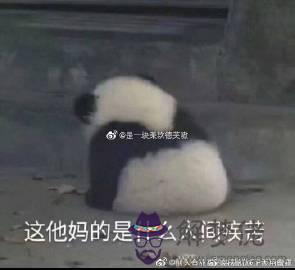 不撞南墻不回頭是什麼意思:“不撞南墻不回頭”是什麼意思？