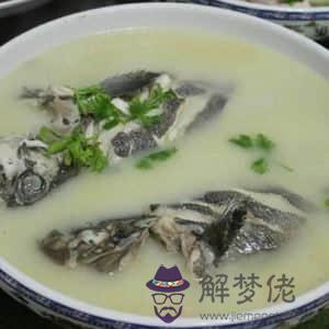 燉鯽魚湯的:給狗狗燉的鯽魚湯怎麼做