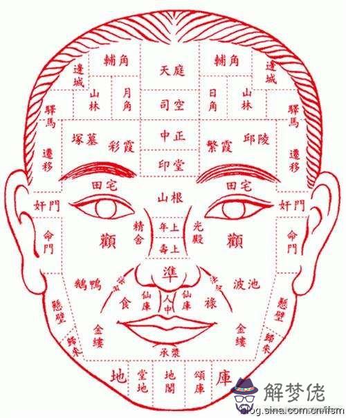 我想要了解中醫面診的知識。面部的9條經絡是哪9條? 五臟六腑在面部的反射區是那?請寫的具體些謝謝!