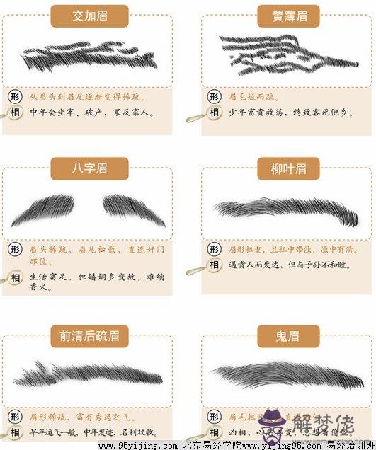 從21種眉看男人性格:一個男人眉淡能說明什麼?性格脾氣
