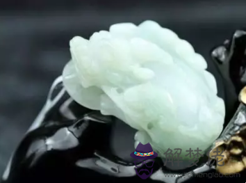 玉貔貅的佩戴忌諱什麼:戴貔貅有什麼講究？