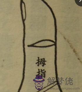 不能傷害有眼的人:手上有眼的人,都是大造化,看看眼長什麼樣