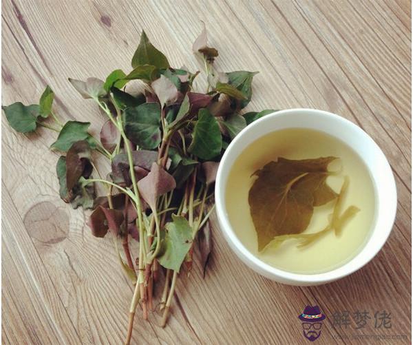 魚腥草能長期泡水喝嗎:魚腥草是泡水喝嗎？