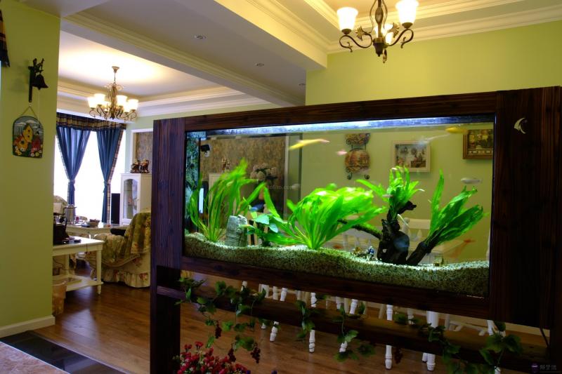 魚缸正對入戶門圖片:魚缸擺放在正對大門行嗎?