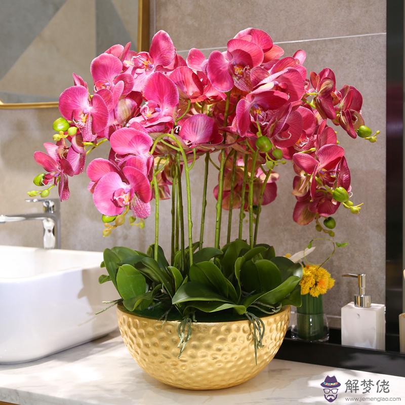 假花放在家里有什麼忌諱:假花梅花放在家里什麼位置,家里放它好嗎