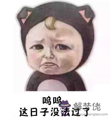 1982年屬什麼:1982年女的屬狗和什麼屬相最配