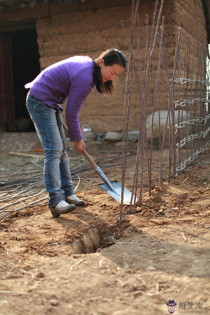 21歲屬什麼生肖:21歲屬什麼屬相