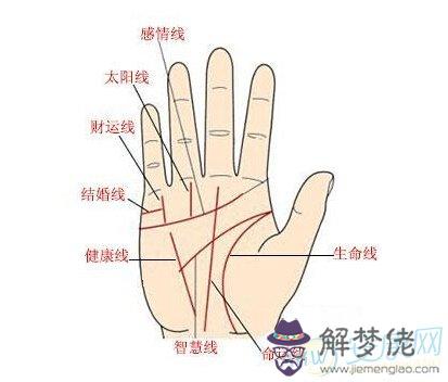 手相圖解大全女:富貴女人手相圖解大全有什麼意思呢?