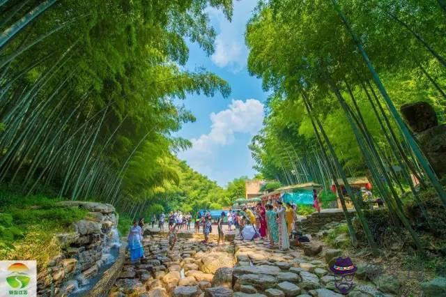 宜興竹海風景區:宜興竹海風景區內可以開車進去和晚上露宿嗎?