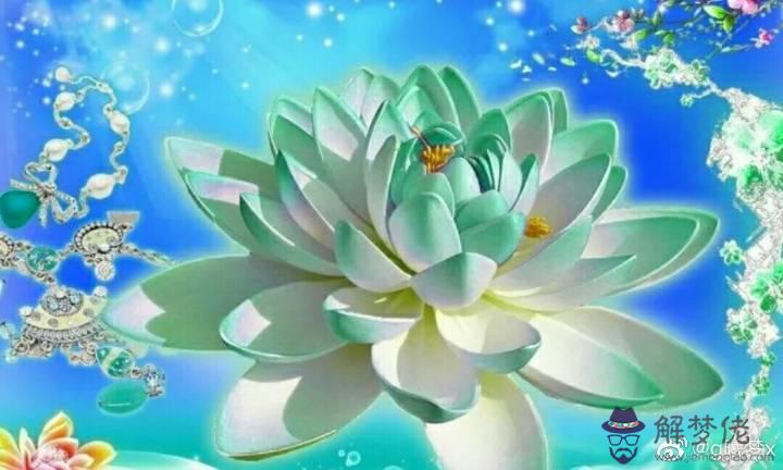 眼的最簡單語:眼的人據說能看見,真的嗎?