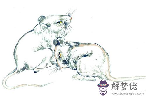 2020屬鼠出世會旺父母:l1962年屬虎是什麼命