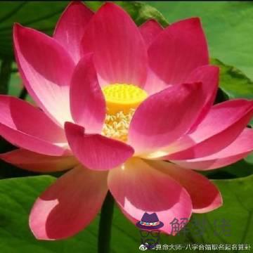 為什麼庚寅日柱不善終:請問男命庚寅不善終是什麼意思?謝謝