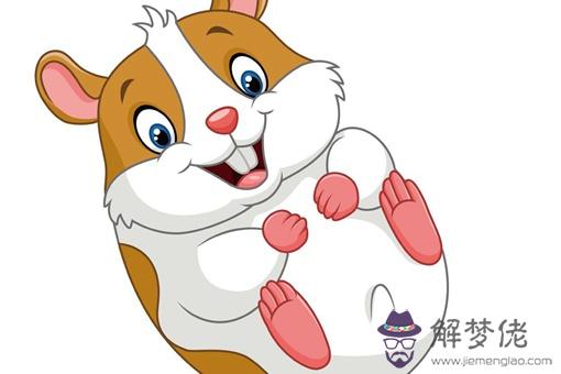 2020年鼠年寶寶名字:2020年叫什麼名字?
