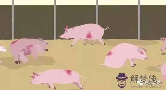 學生面對疫情的個人感言:面對疫情,作為學生的我們能做些什麼?
