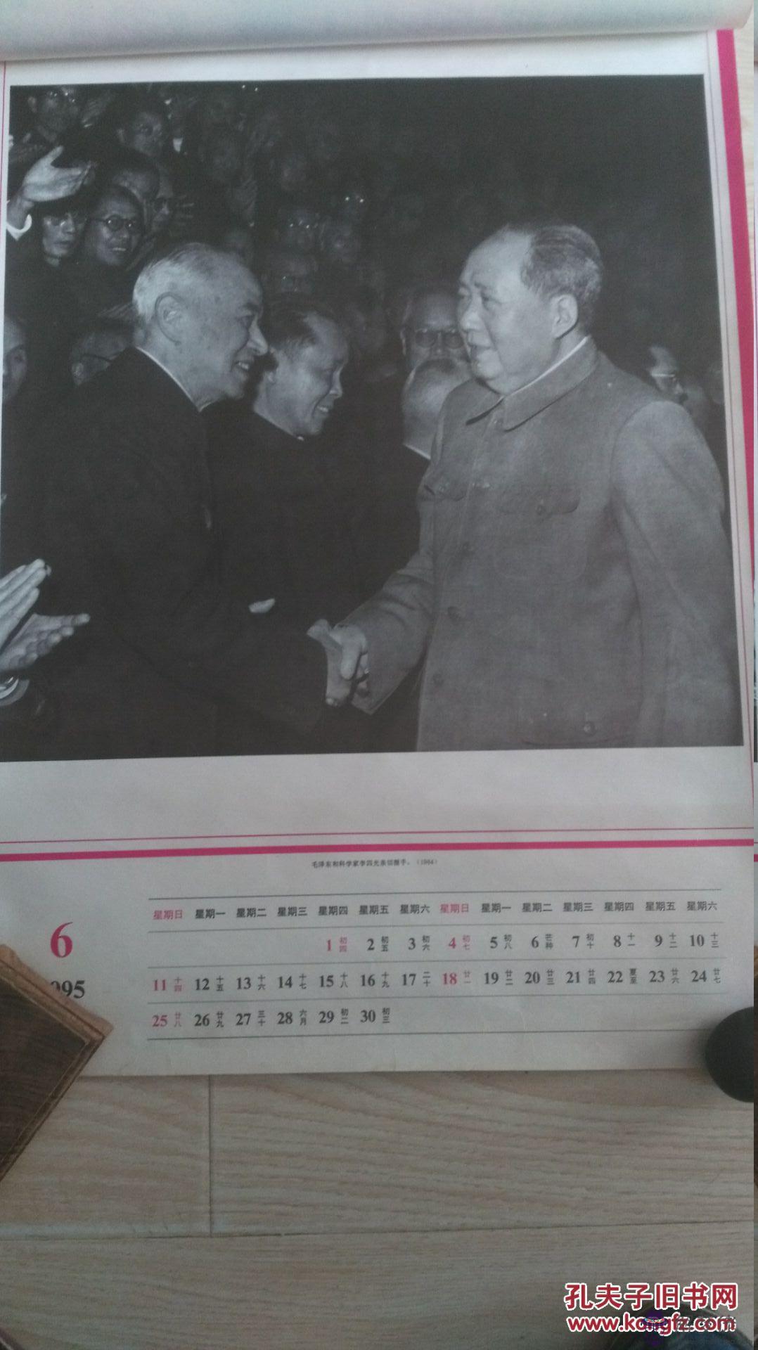 1995年屬豬是什麼命女:95年屬豬女和什麼屬相最配