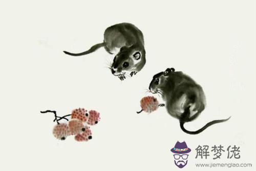 1984年屬鼠36歲本命年:多大歲數是屬鼠人的本命年