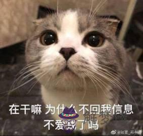巨蟹座屬什麼生肖最聰明:屬豬的巨蟹座和哪個生肖星座最配