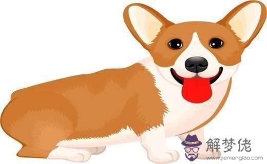 龍和狗屬相合不合:龍和牛屬相合不合財