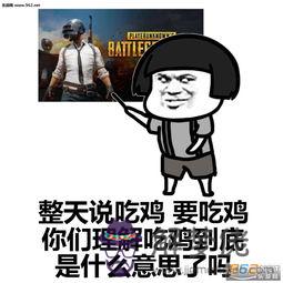 吃雞有內涵的名字大全:求吃雞游戲網名，要污要搞笑要有文化的