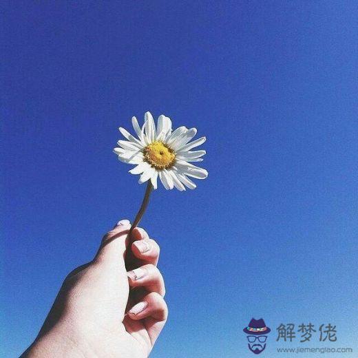 看透人心的網名:看透人心的pp網名