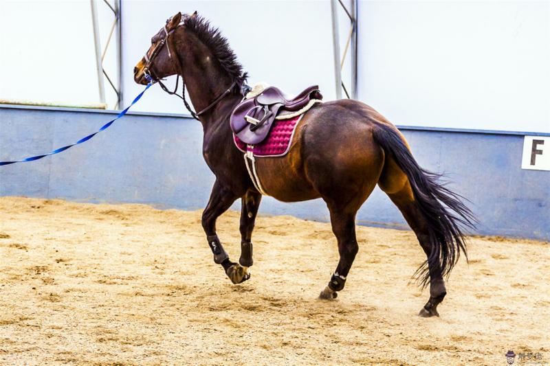 0屬馬30歲劫難