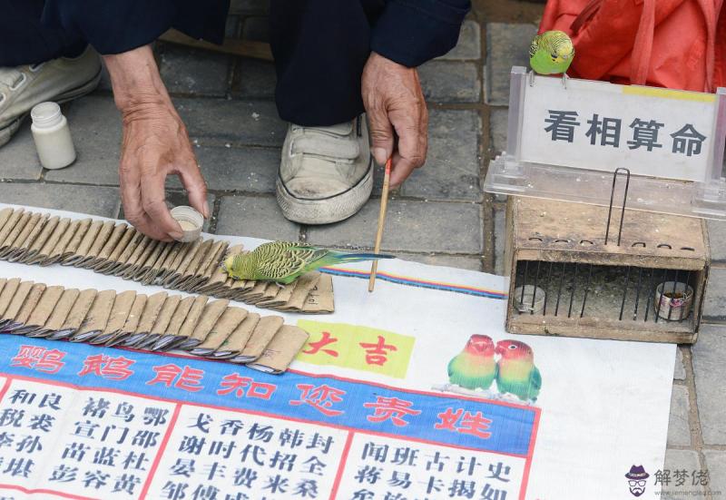 免費算命看婚姻 免費算命八字看婚姻