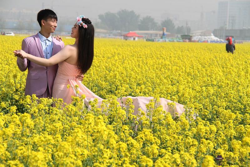 屬鼠本命年可以結婚嗎 屬鼠的和什麼屬相最配