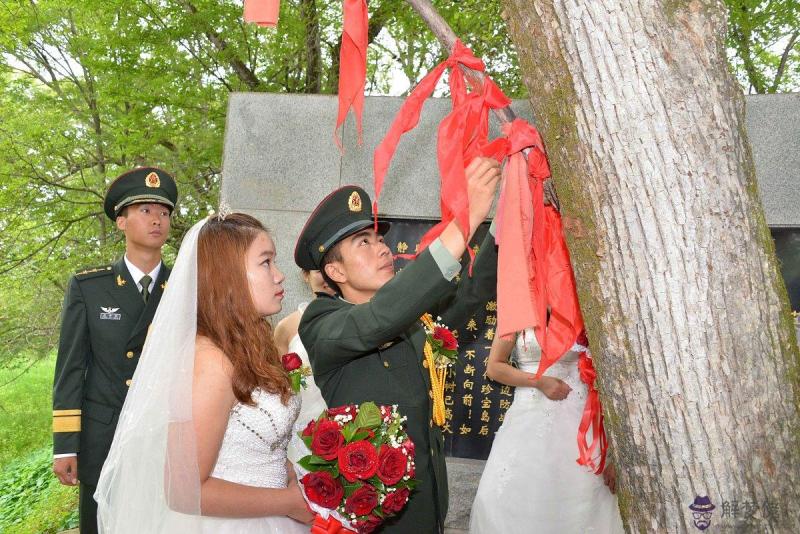 4年男鼠與90年女馬