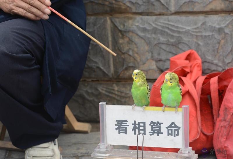 海中今命是什麼意思 海中金命怎麼才能旺