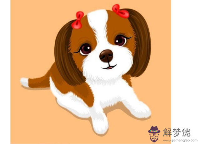屬狗和屬狗的適合做夫妻嗎