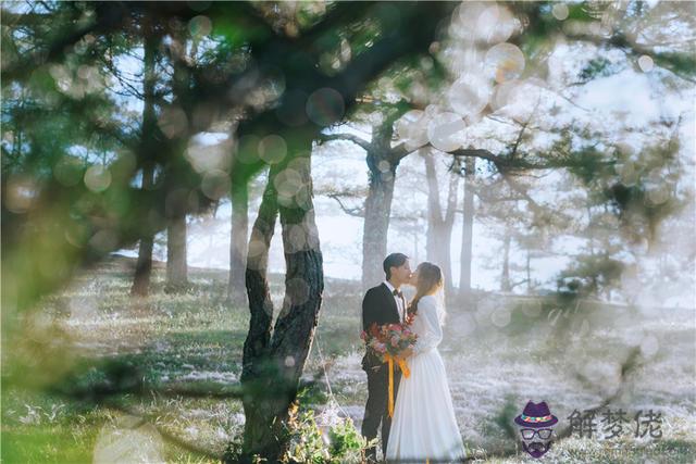 屬猴與屬馬婚配好不好