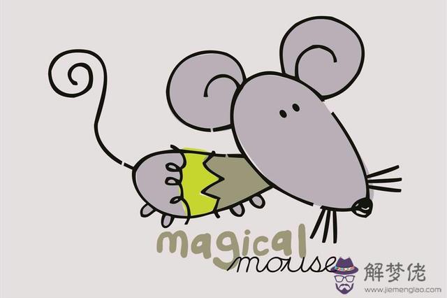 狗和鼠相配婚姻如何