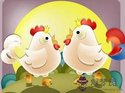 男雞女雞的婚姻相配嗎 兩個屬雞的人結婚結局好嗎