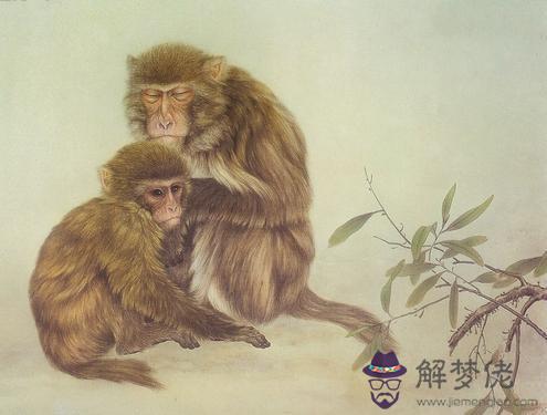 女猴男蛇婚姻相配嗎
