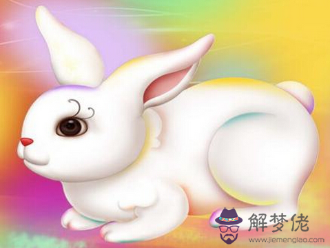 兔和猴相配婚姻如何