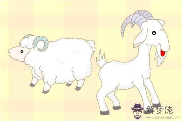 991年屬什麼生肖，和什麼屬相最配對"