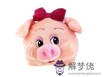屬豬的和什麼屬相婚姻相沖