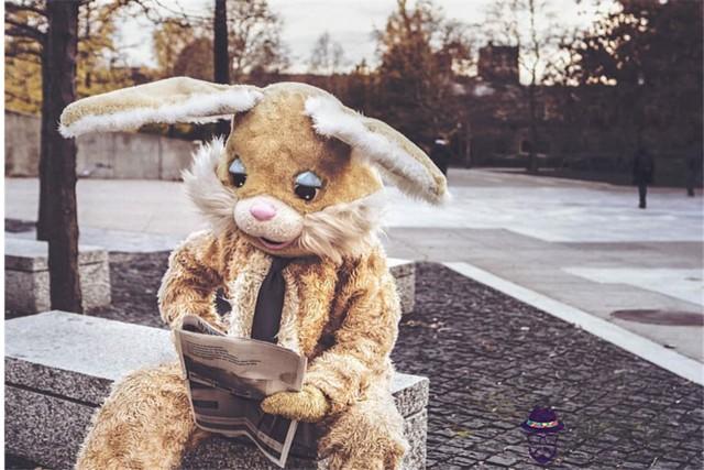 鼠男兔女合適婚配嗎