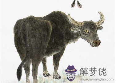 7年女屬牛的屬相婚配表"