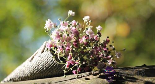 蛇與什麼屬相結婚相克相沖 屬蛇忌配屬相