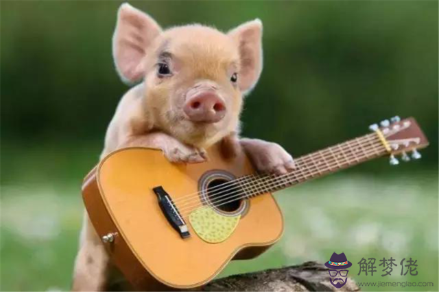 豬和狗屬相配不配 適合結婚嗎