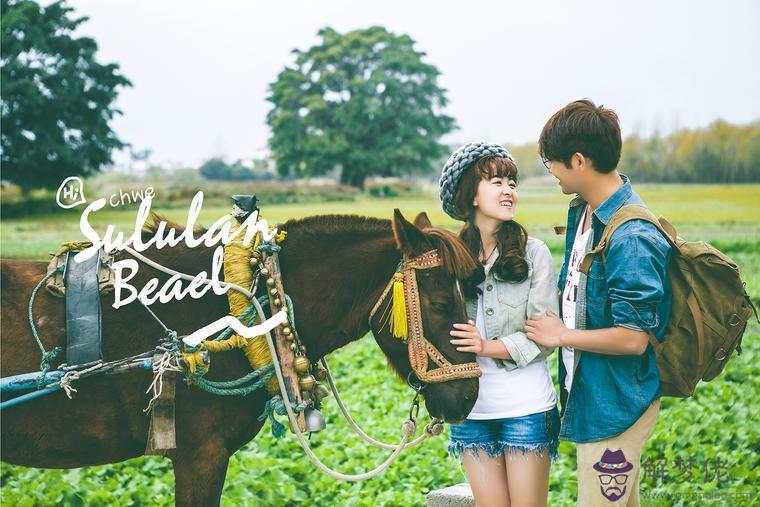 屬豬婚配禁忌有哪些 屬豬人不宜和這些生肖的人婚配