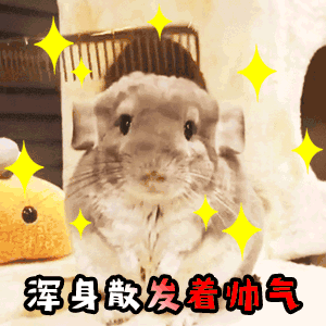 男鼠女雞婚配怎麼樣 男鼠女雞相配運勢緣分指數